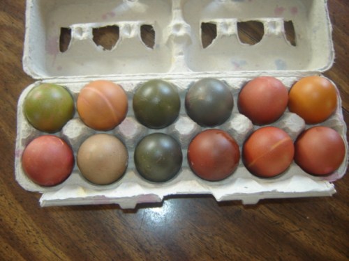 Eggs